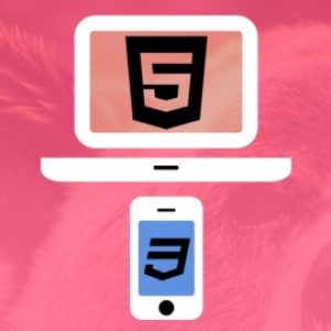 Web Designing for Beginners: Real World Coding in HTML & CSS