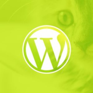 WordPress for Beginners: Create a Website Step by Step